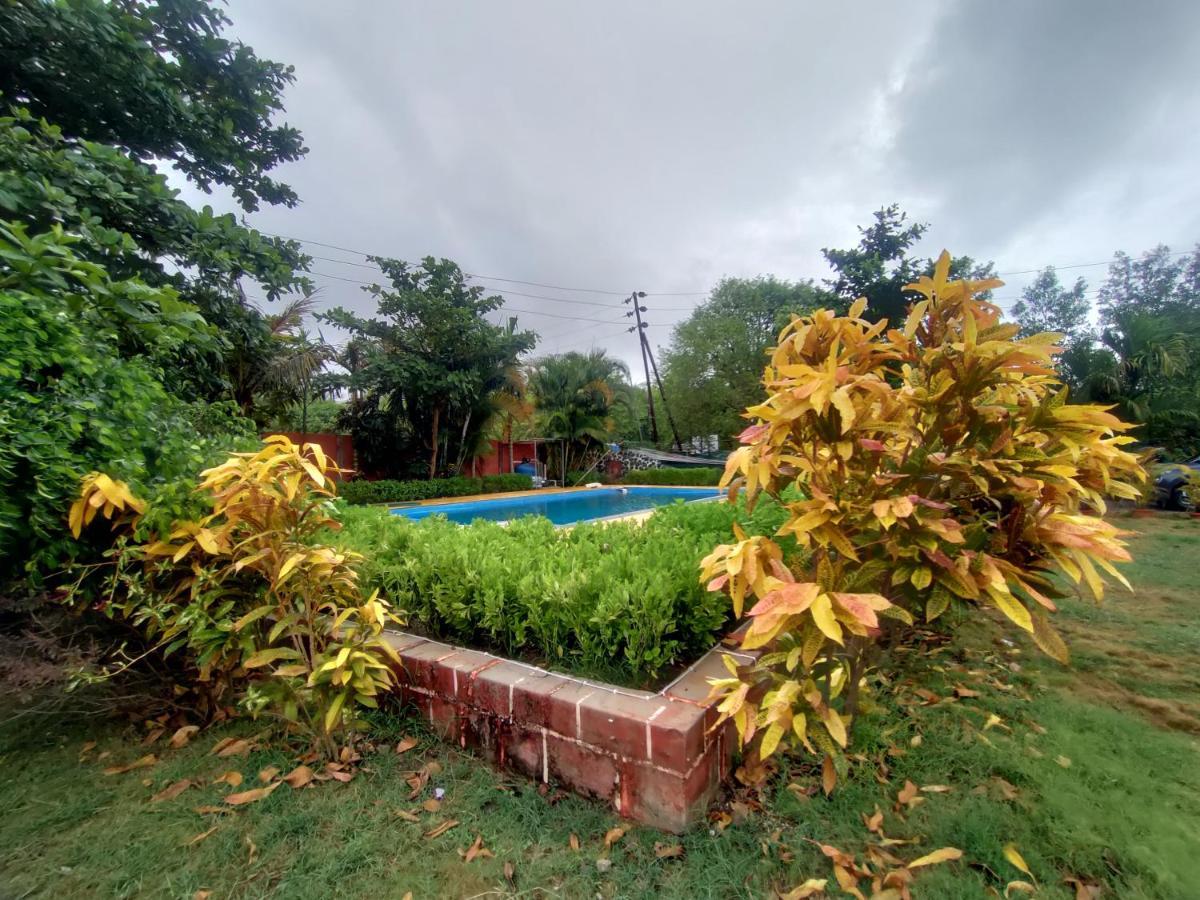 Opulence Resort Awas Alibaug Alībāg Exterior foto